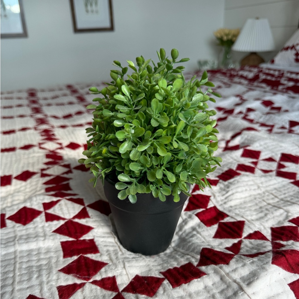❌SOLD❌ Threshold Faux Boxwood Plant